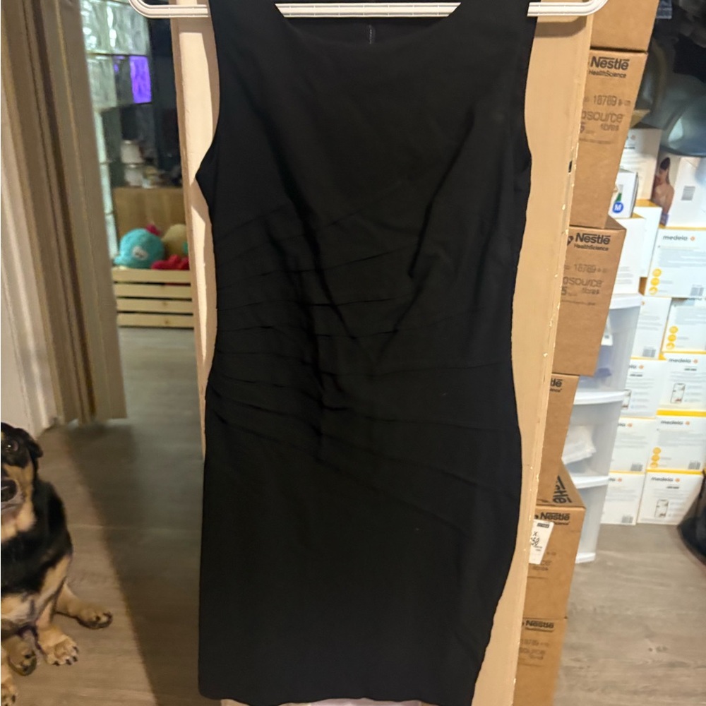 Elegant Black Sleeveless Dress